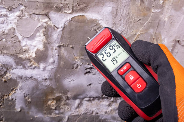 Professional Mold Removal in Bee Cave, TX