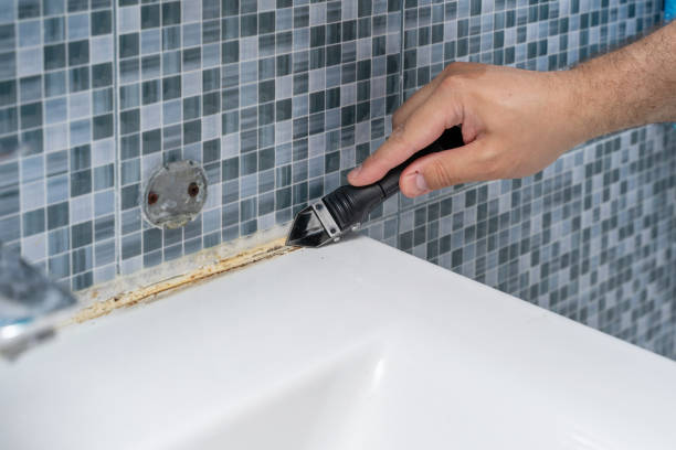 Best Residential Mold Removal  in Bee Cave, TX